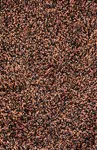 Tapis tout temps 60x85cm BRUN